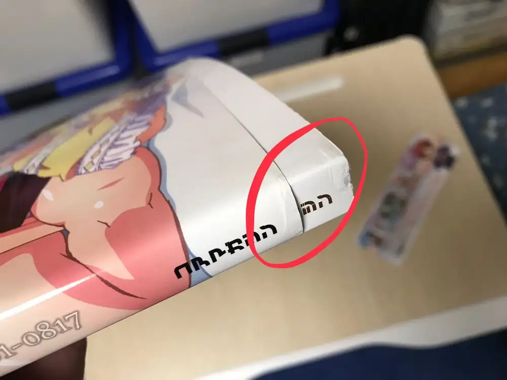 에로게 게임 시스터즈 SISTERS 여름 최후의 날 아트북 화집 화보집 일러스트집 설정집 이미지