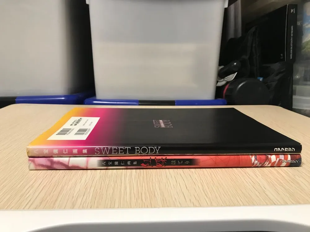 에로게 일러스트레이터 핫포비진 아트북 화집 화보집 일러스트집 2권 일괄 (홍접, Sweet Body) 이미지