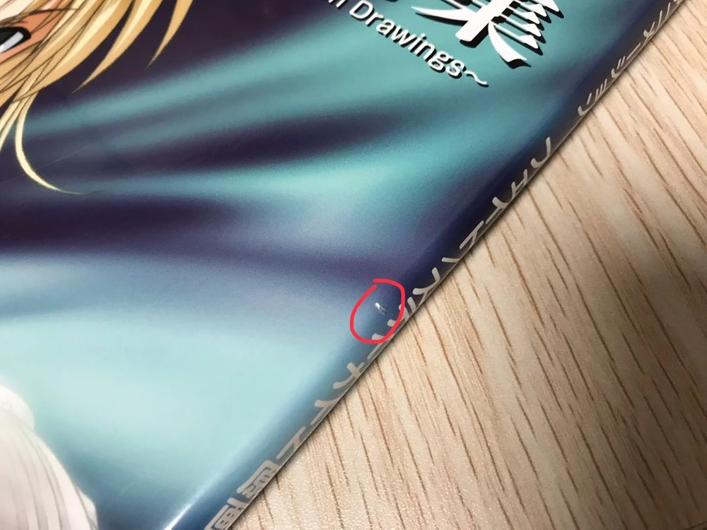 애니 Fate 페이트 스테이 나이트 페스나 원화집 아트북 화집 화보집 일러스트집 이미지