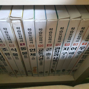 금성출판사 학습도감백과 12권 이미지