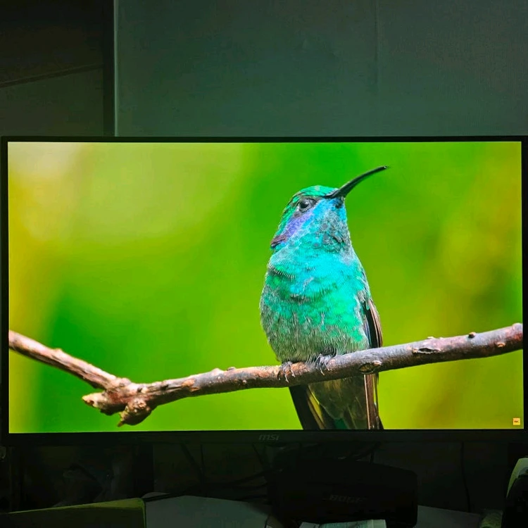 msi 321URX QD-OLED 240hz 4k 32인치 모니터 판매 이미지