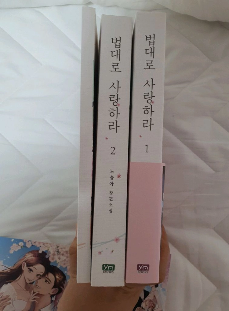 드라마 법대로사랑하라 도서책(전2권+외전집/참고사항) 이미지