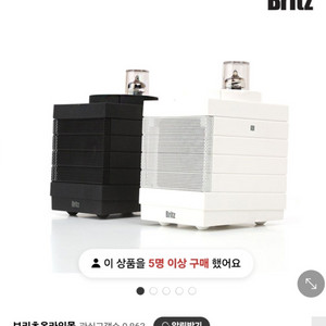 britz 진공관 블루투스 스피커 새것 이미지