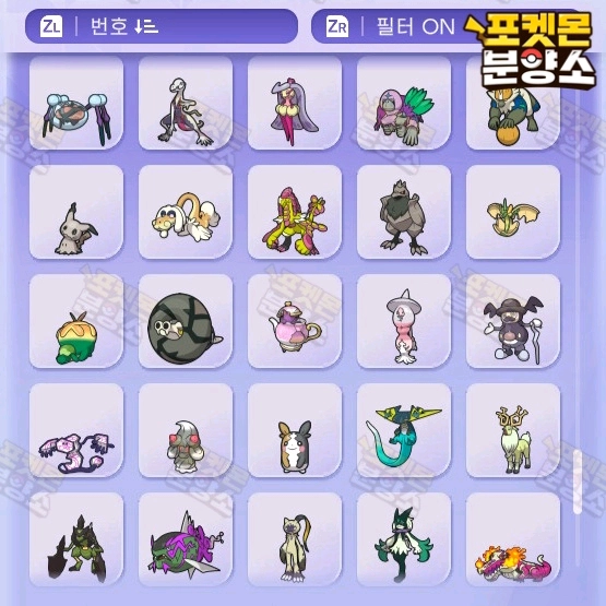 이로치 & 실전 포켓몬 소드실드 분양 / 챔피언스 포챔스 - 안심되는 중고거래
