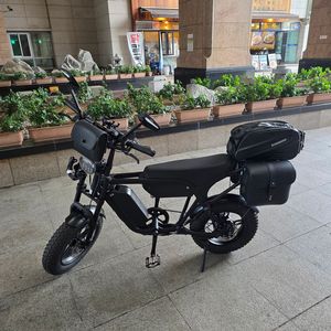 전기자전거 자토바이 퀄리 엑스트론 미니 416km 화이트 블랙 한대당 48v20ah 배터리2개 이미지