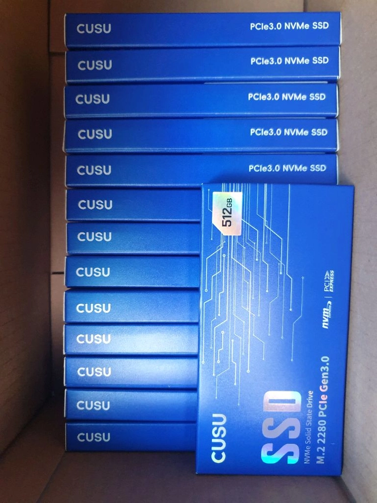 TWSC CUSU CV3500Q M.2 NVMe (512GB) 이미지