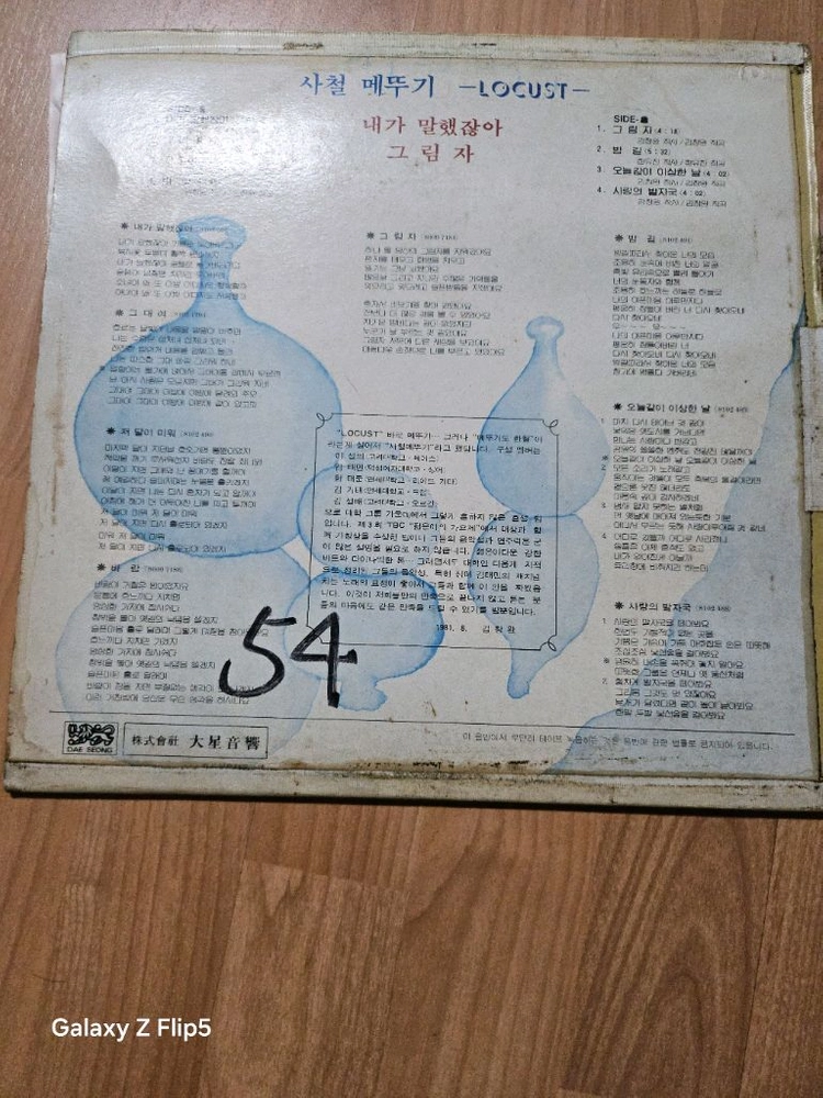 초반)사철메뚜기 LOCUST LP 1981년 LP 이미지