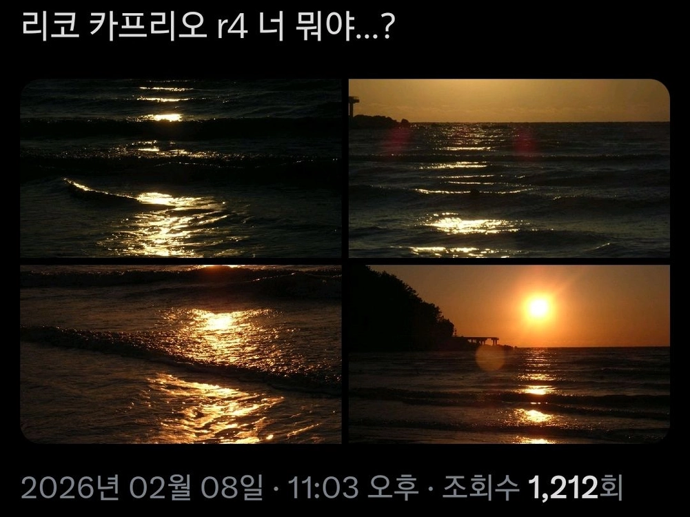 리코 카프리오 R4 빈티지 디카 이미지