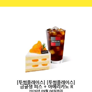 (금액권가능)투썸플레이스 금귤생피스+아메리카노 이미지