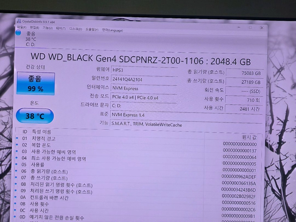 WD BLACK 2TB SSD 판매합니다 이미지
