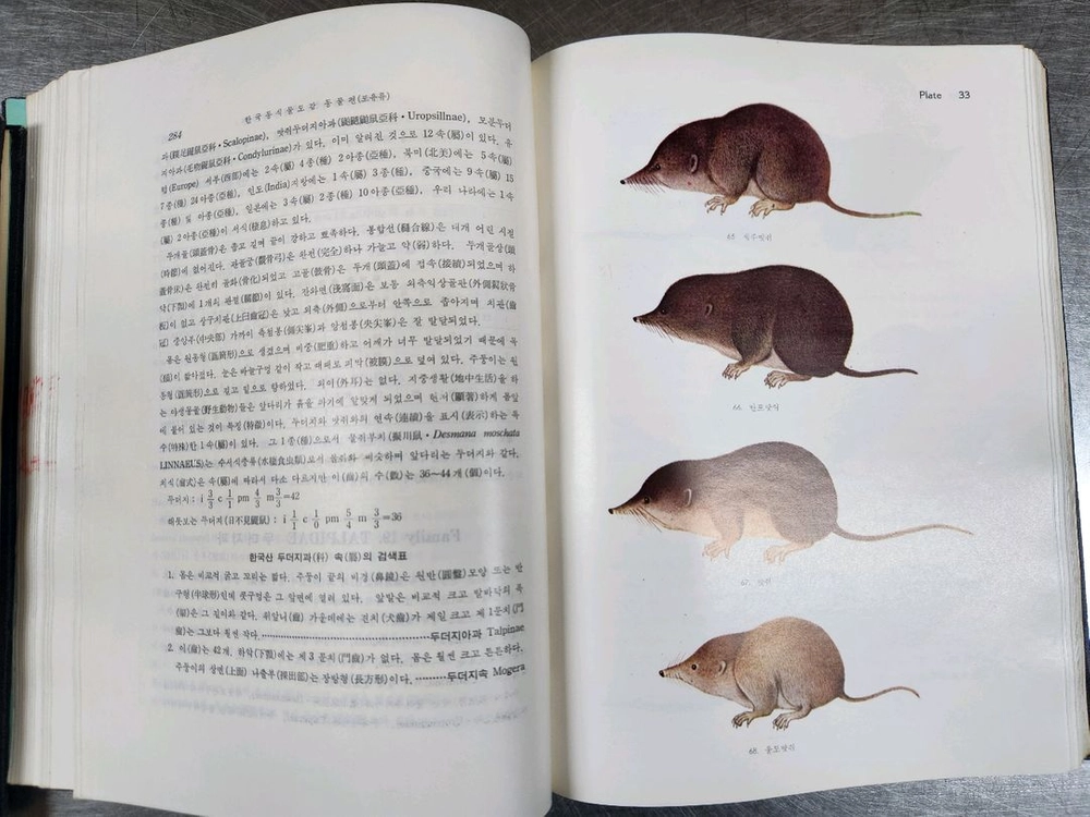 (수집)한국동식물도감 동물권 2권 세트 이미지