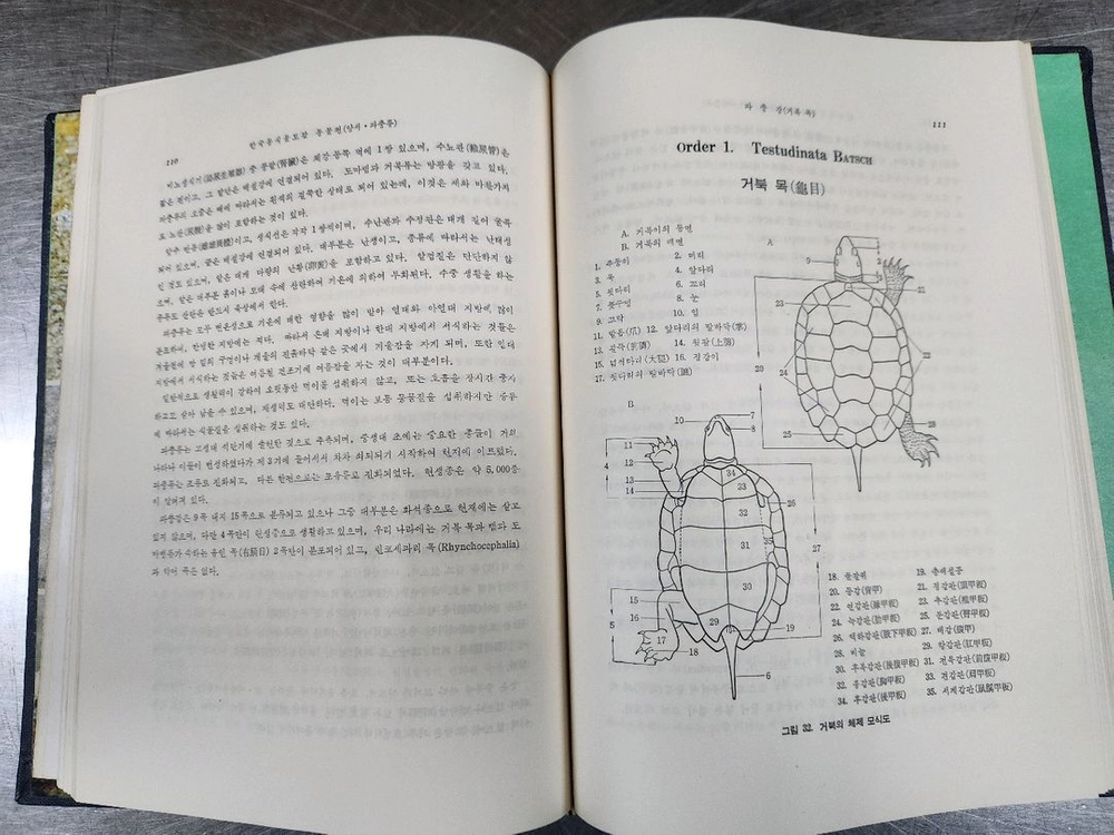 (수집)한국동식물도감 동물권 2권 세트 이미지