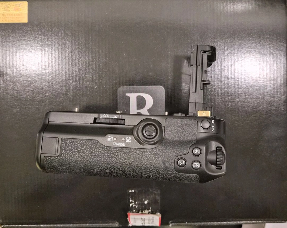 Cannon R6 Mark II 이미지