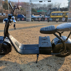 필립스 할리2인용 전기스쿠터 이미지