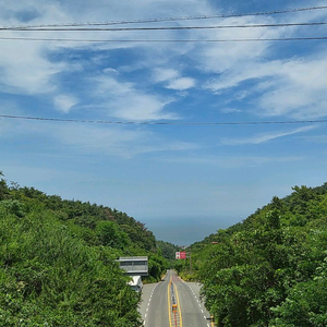 제주휘닉스 아일랜드 8월3일~5일/8월14~17(1박가능) 이미지
