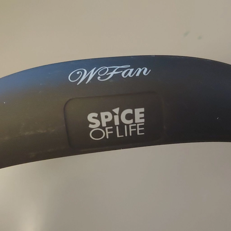 3단 조절 WFan 넥밴드 선풍기 이미지