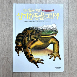 진짜진짜 재밌는 신기한 동물 그림책 이미지
