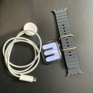 애플워치10티타늄 46mm 내추럴 SSS급 이미지