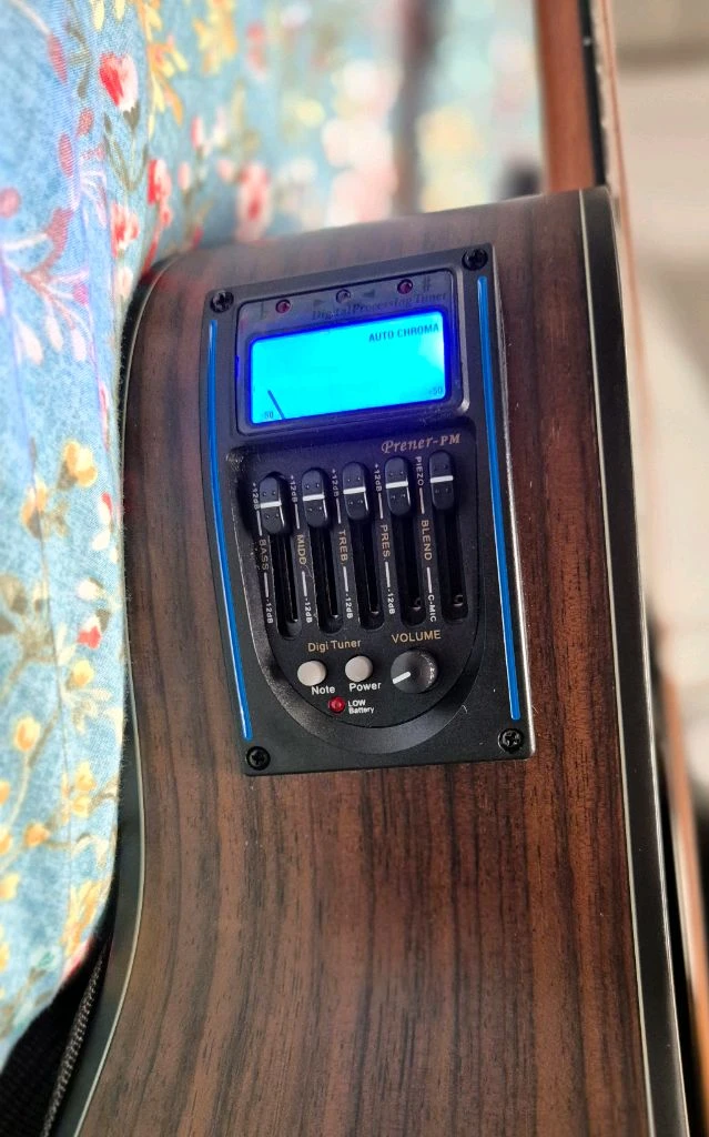 올리비아 A40R 어쿠스틱 기타 EQ 이미지