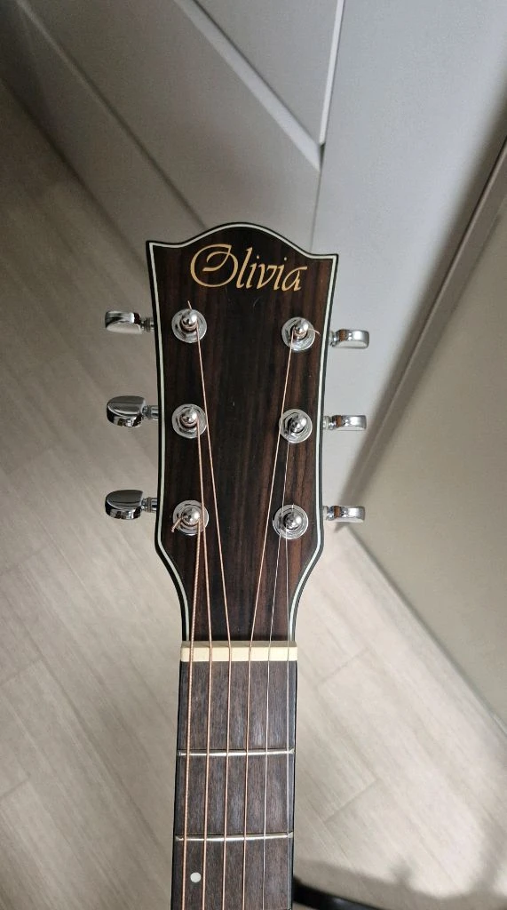올리비아 A40R 어쿠스틱 기타 EQ 이미지
