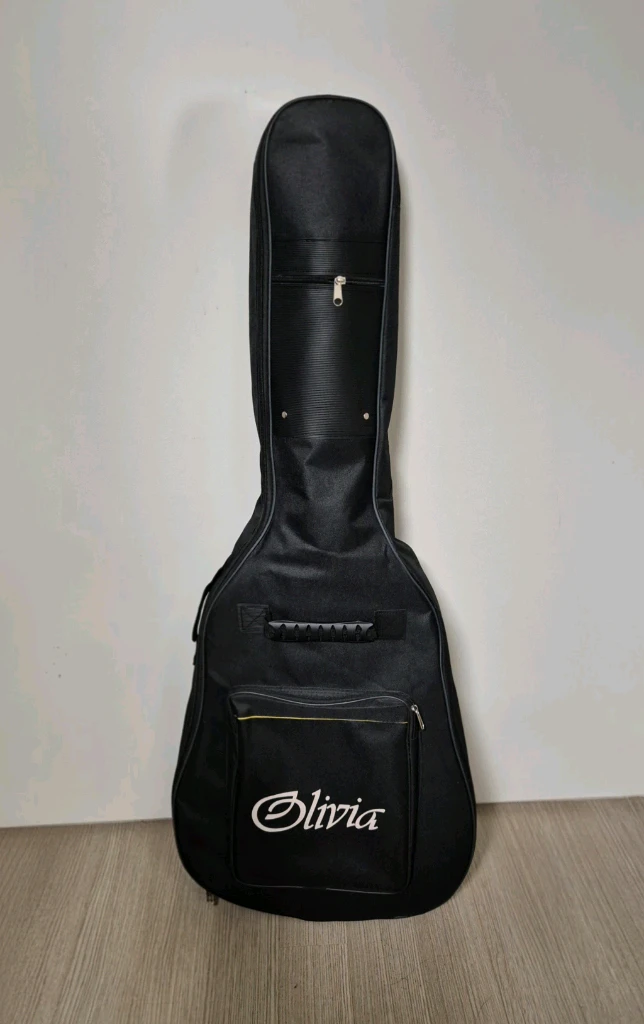 올리비아 A40R 어쿠스틱 기타 EQ 이미지