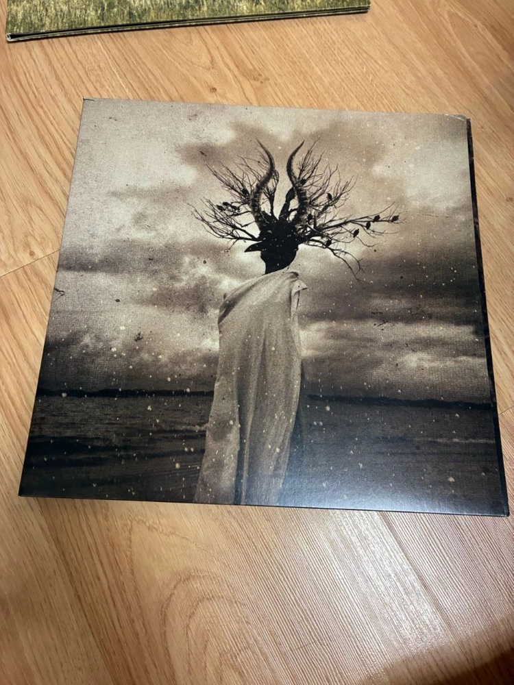 쏜애플 LP 이미지