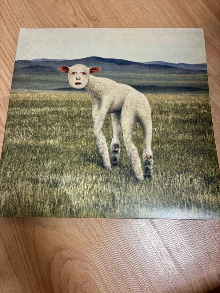 쏜애플 LP 이미지