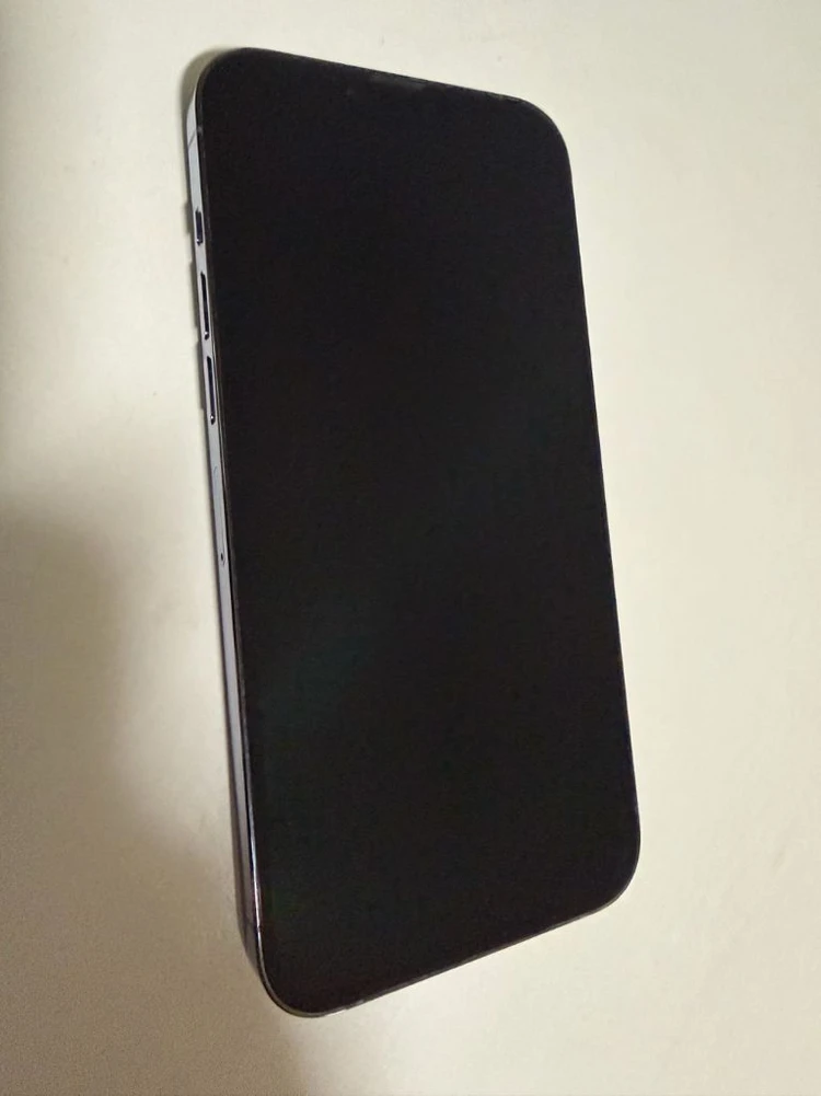 아이폰 13 프로 맥스 256GB 시에라 블루 이미지
