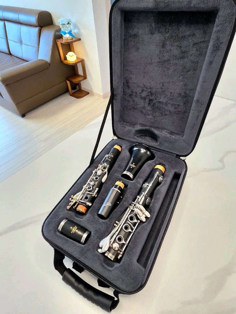 부페 BuffetCrampon Prodige 프로디지 클라리넷 이미지