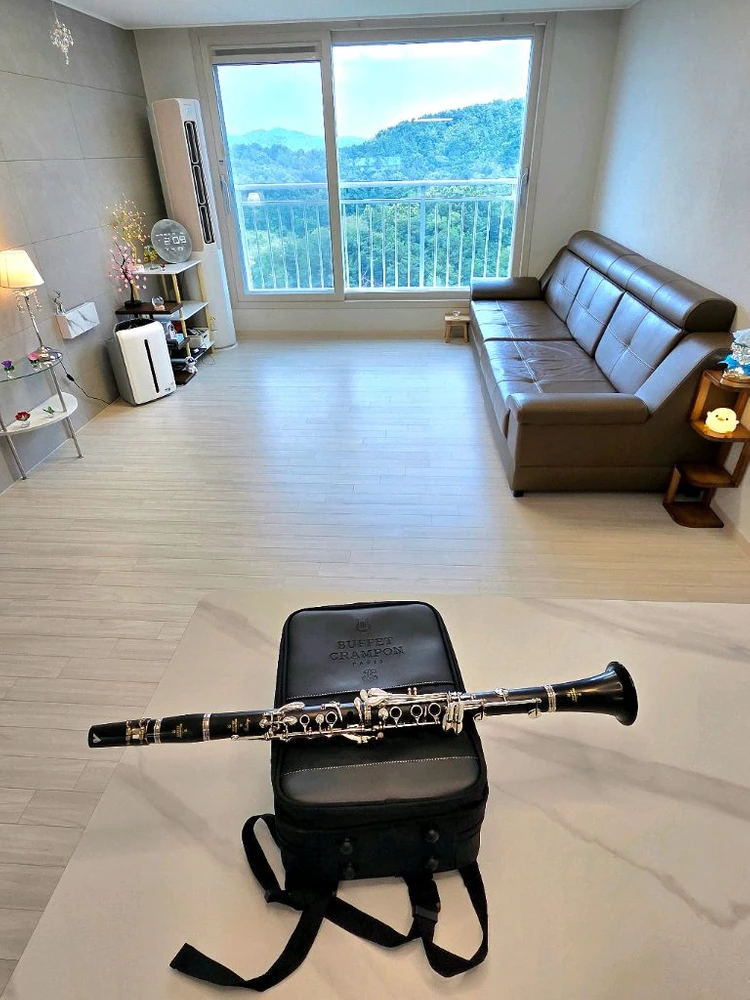 부페 BuffetCrampon Prodige 프로디지 클라리넷 이미지