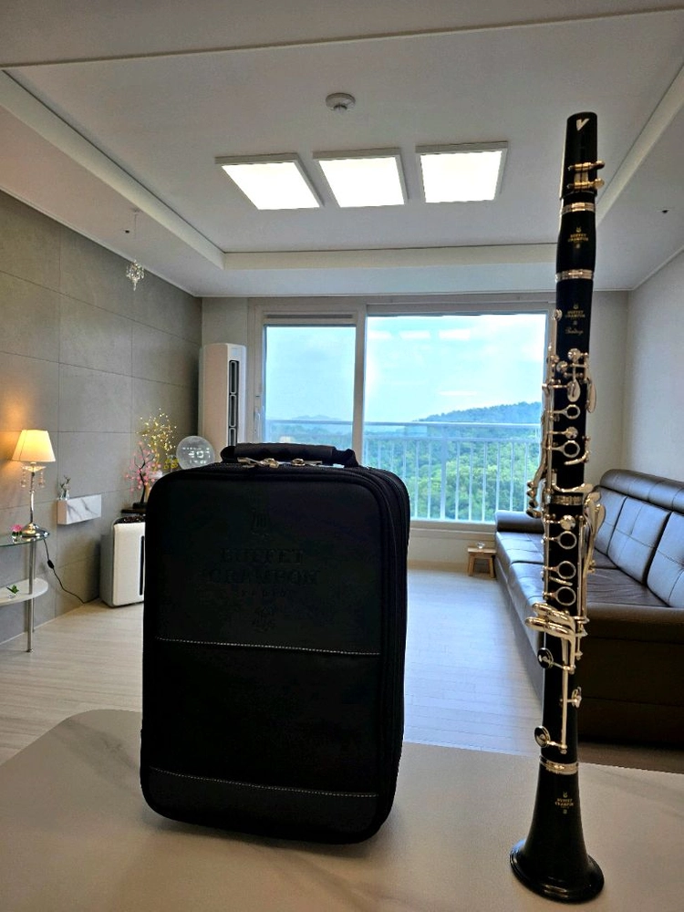 부페 BuffetCrampon Prodige 프로디지 클라리넷 이미지
