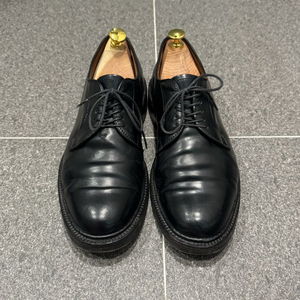 알든 9901 8 1/2 E 이미지