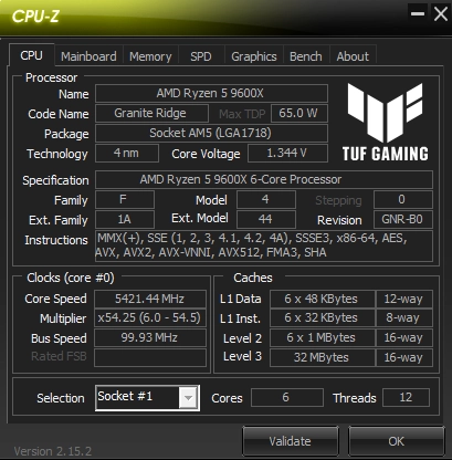 9600X + ASUS TUF Gaming B850M-PLUS WIFI + TeamGroup T-Force DDR5 이미지