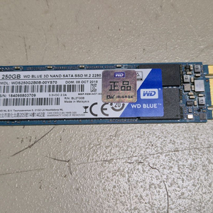 WD BLUE 250GB SSD M.2 SATA 이미지