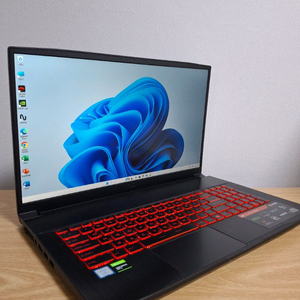 (판매완료)[MSI] 17.3인치 대화면 144Hz 게이밍 노트북 (i7/GTX1650) 이미지