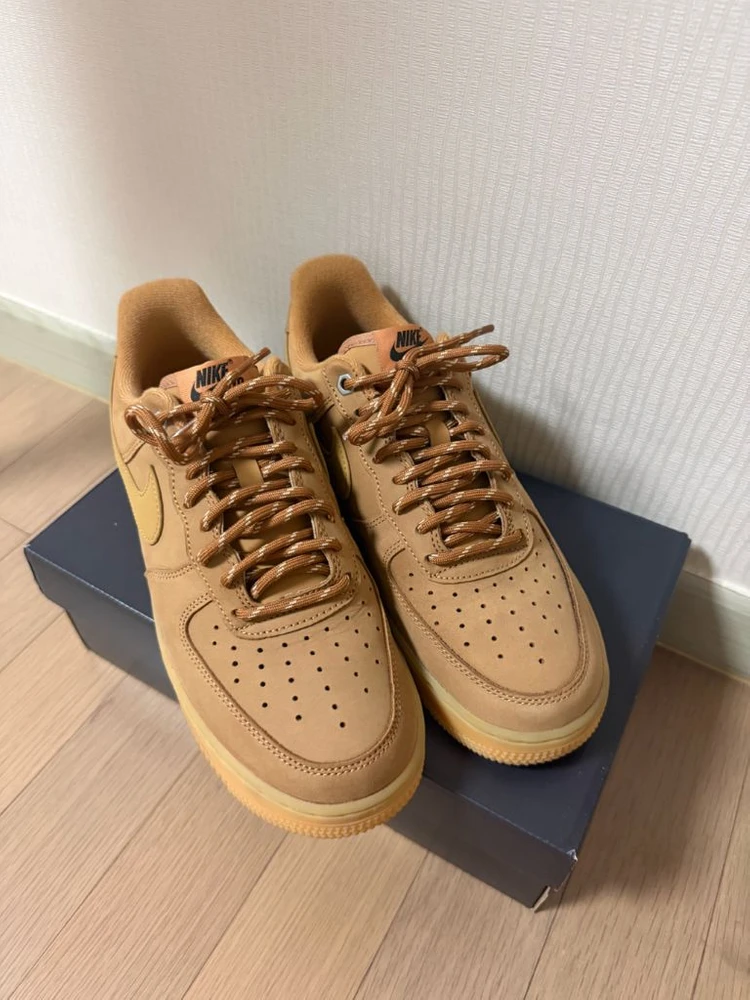 된장포스 260 이미지