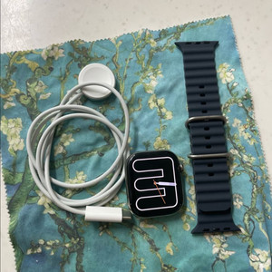 애플워치10티타늄 46mm 내추럴 SSS급 이미지