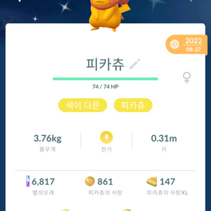 포켓몬고 이로치피카츄 팝니다 이미지