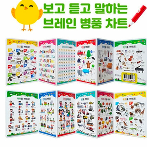 보고 듣고 말하는 브레인병풍챠트 리퍼상품 이미지