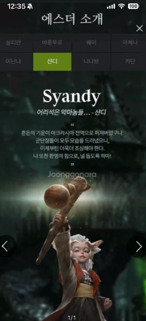 로스트아크 (로아) 닉네임 샨디 Syandy 판매합니다 이미지