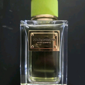 돌체엔가바나 벨벳뮤게토 EDP 100ml 이미지