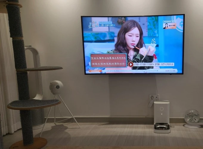 드비알레 팬텀2 95db 1쌍(2개)+ 다리1쌍 - 안심되는 중고거래