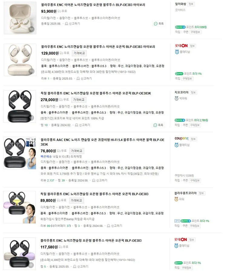 독일 브랜드 블라우드풍트 노이즈 캔슬링 오픈 귀걸이형 HI-FI 5.4 블루투스 이어폰 이미지