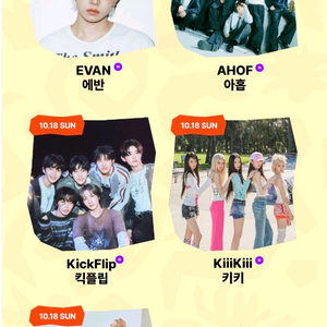 NOL FESTIVAL 놀 페스티벌 18일 2일차 양도 이미지