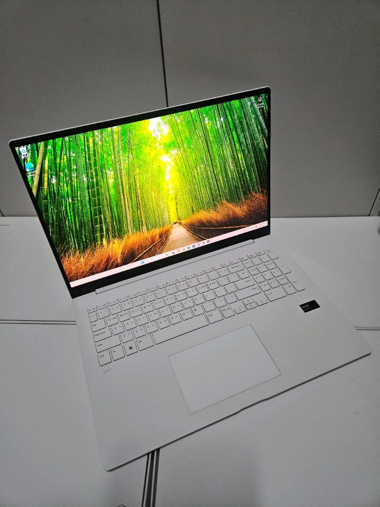LG그램 프로 노트북 17인치 17Z90SP U5/램16/SSD256 이미지