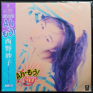 니시노 타에코 Ah・もう! 레이저 디스크 LD 이미지
