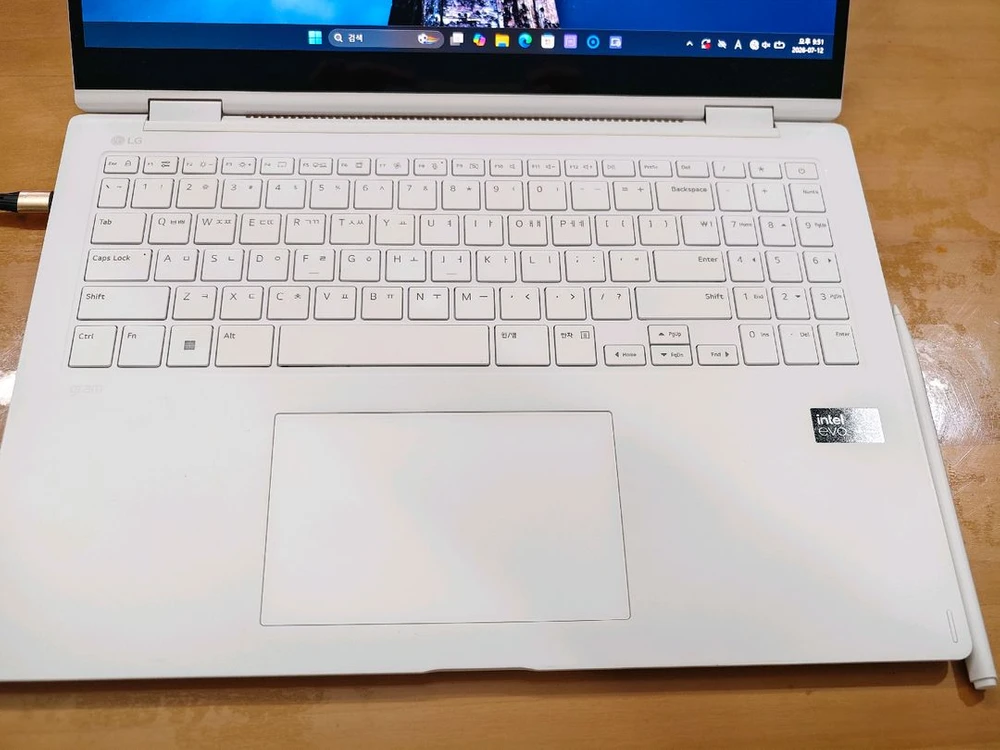 LG 그램 프로 16 360 16T90SP 이미지