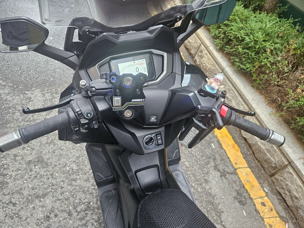 포르자350 이미지