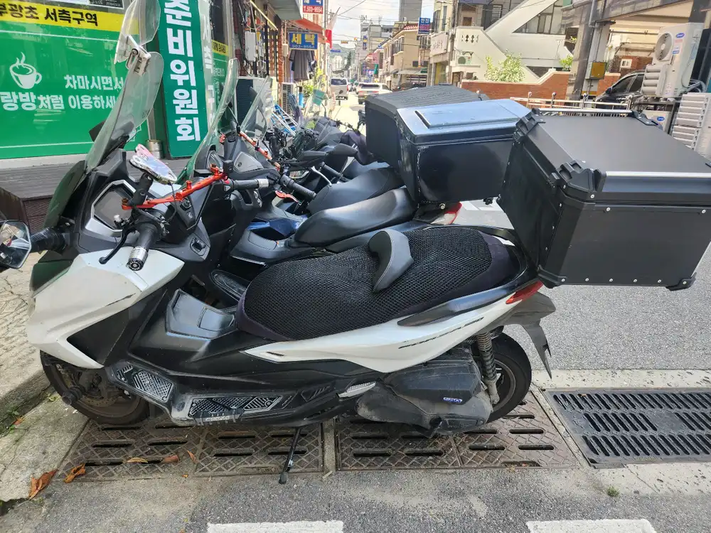 혼다 포르자350 25년식 네고받음 이미지