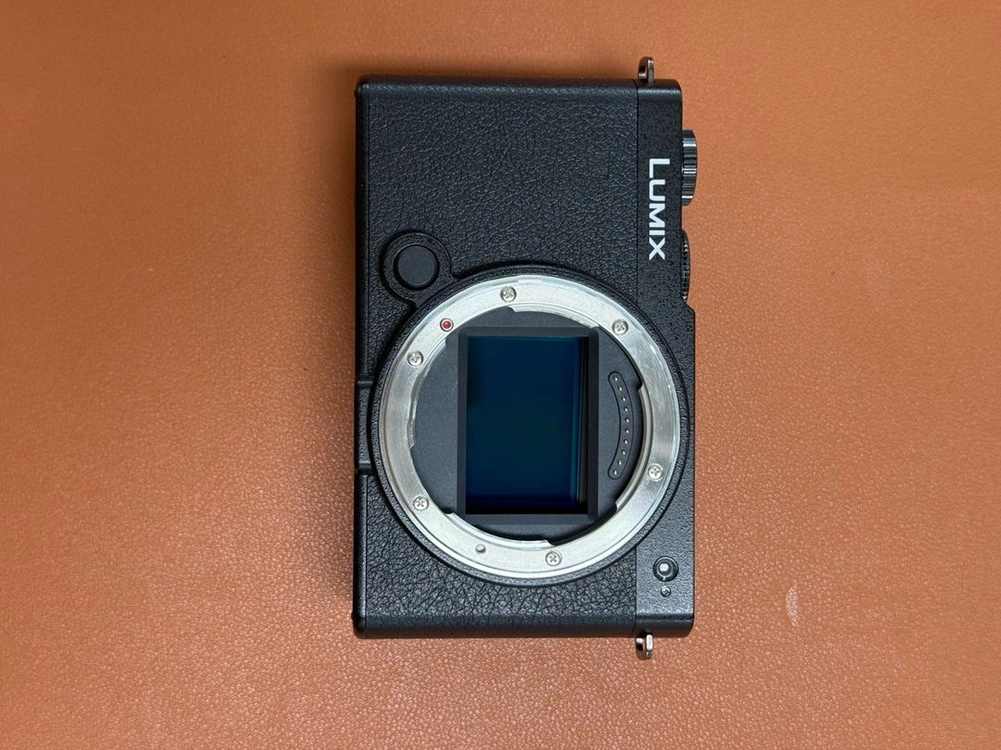 LUMIX S9 +우드그립 파나소닉 풀프레임 미러리스 이미지